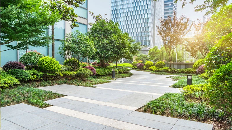 Green commercial campus landscape with paths and mature planting