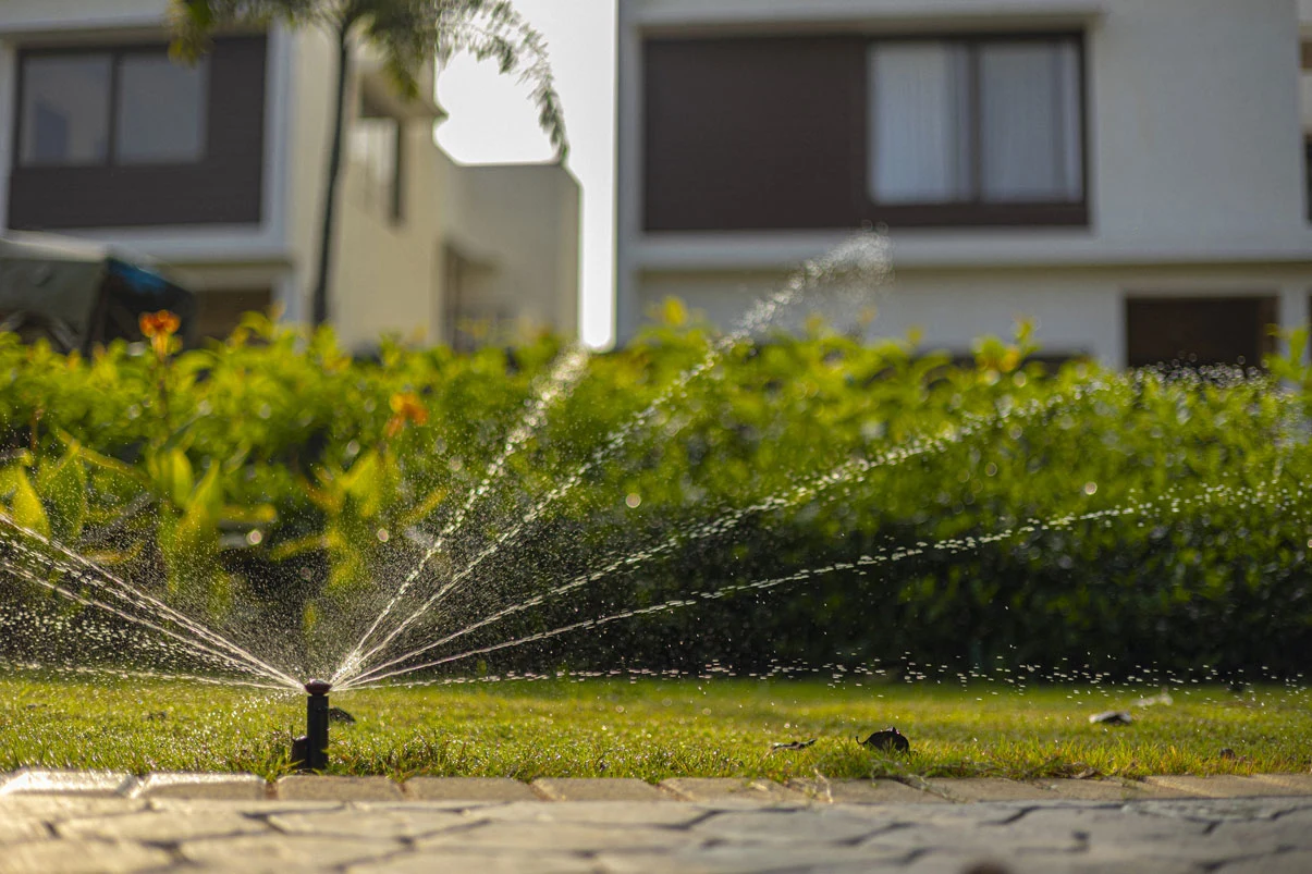 Landscaped residential community with extensive green common areas